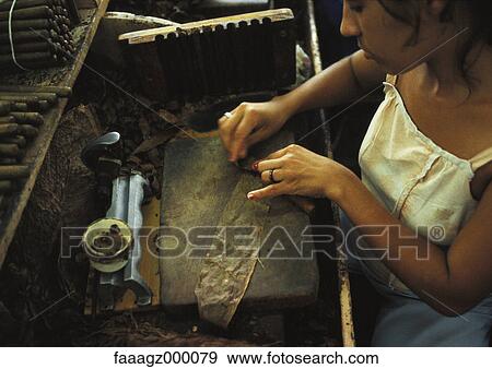 Cuba, Havana, woman making cigar View Large Photo Image Stock Photo - Cuba, Havana, woman making cigar. Fotosearch