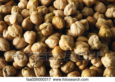 Dried chick peas in a pile, full frame View Large Photo Image Stock Photo - Dried chick peas in a pile, full frame. Fotosearch