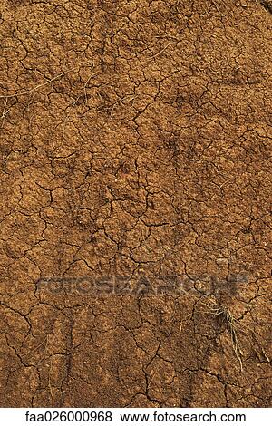 Stock Photo - Dry earth with cracks and sparse grass, close-up. Fotosearch