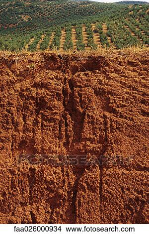 Picture - Eroded cliff, hillside in background. Fotosearch