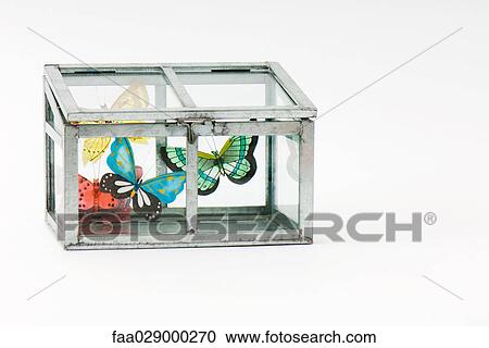 Fake butterflies inside closed glass box View Large Photo Image Stock Image - Fake butterflies inside closed glass box. Fotosearch