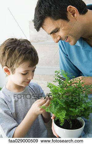 Father and son looking at potted plant together, both smiling View Large Photo Image Stock Photo - Father and son looking at potted plant together, both smiling. Fotosearch