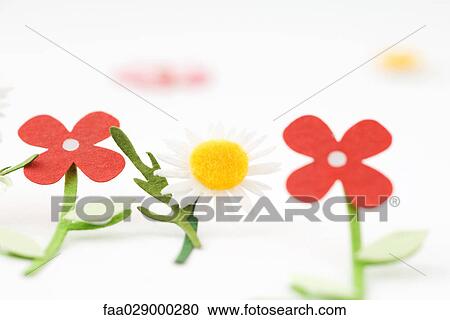Felt flowers, close-up View Large Photo Image Stock Image - Felt flowers, close-up. Fotosearch