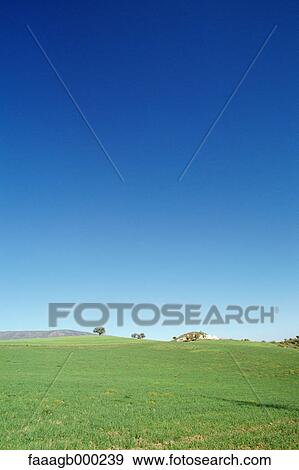 Field and blue sky View Large Photo Image Stock Photo - Field and blue sky. Fotosearch