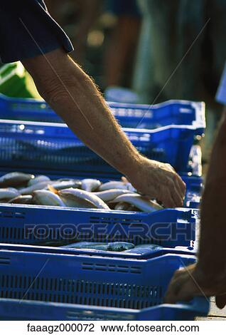 Fish market View Large Photo Image Stock Image - Fish market. Fotosearch