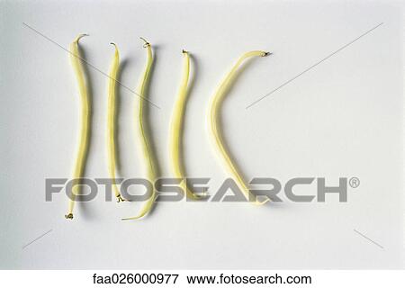 Five white beans in a row, close-up View Large Photo Image Stock Photo - Five white beans in a row, close-up. Fotosearch