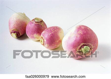 Four turnips, close-up View Large Photo Image Stock Photo - Four turnips, close-up. Fotosearch