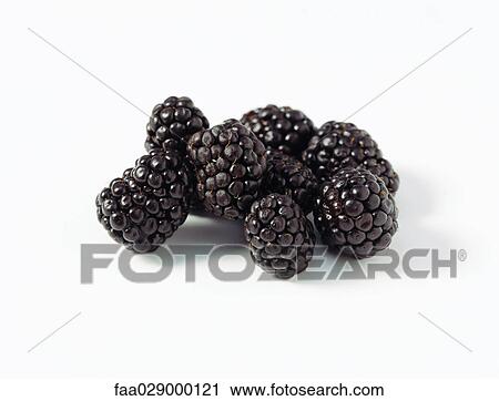 Fresh blackberries, close-up View Large Photo Image Stock Image - Fresh blackberries, close-up. Fotosearch