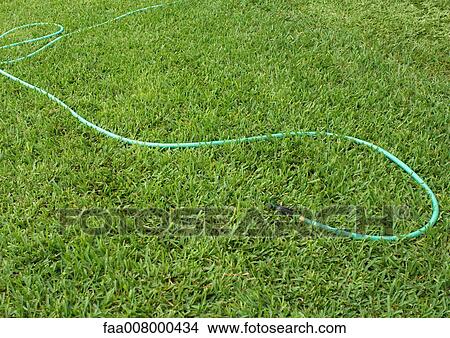 Garden hose lying on grass View Large Photo Image Picture - Garden hose lying on grass. Fotosearch