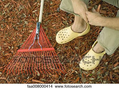 Gardener sitting on ground next to rake, partial view View Large Photo Image Picture - Gardener sitting on ground next to rake, partial view. Fotosearch