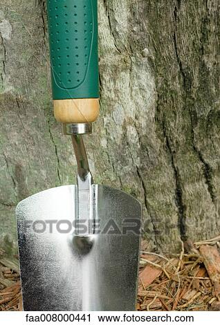 Gardening trowel propped against tree View Large Photo Image Stock Image - Gardening trowel propped against tree. Fotosearch