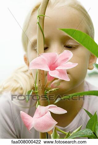 Stock Image - Girl looking at mandevilla bloom. Fotosearch
