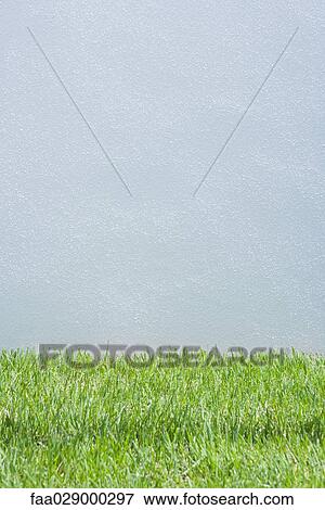 Stock Photo - Gray wall and grass. Fotosearch