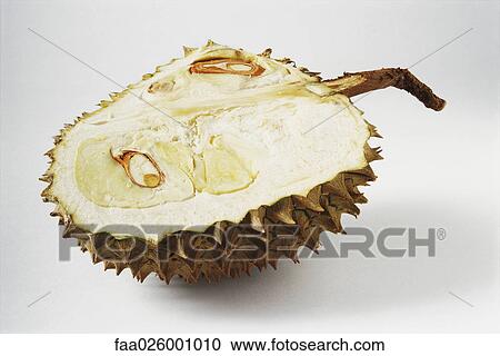 Halved durian fruit, close-up View Large Photo Image Stock Image - Halved durian fruit, close-up. Fotosearch