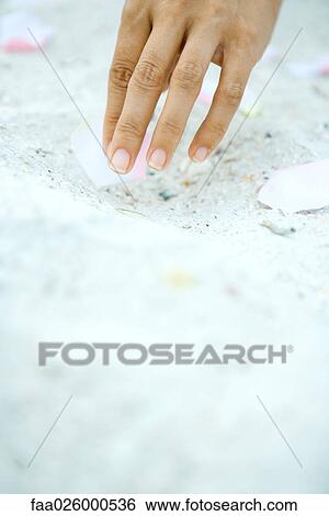 Hand picking up flower petal on sand, surface level view View Large Photo Image Stock Photograph - Hand picking up flower petal on sand, surface level view. Fotosearch