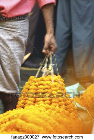 Stock Photo - India, man carrying marigold garlands. Fotosearch