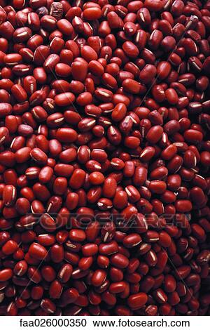 Kidney beans, close-up, full frame View Large Photo Image Stock Image - Kidney beans, close-up, full frame. Fotosearch