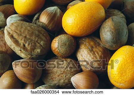 Kumquats and assorted nuts, close-up, full frame View Large Photo Image Picture - Kumquats and assorted nuts, close-up, full frame. Fotosearch