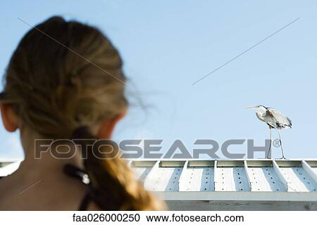 Little girl watching heron, over the shoulder view, focus on background View Large Photo Image Stock Image - Little girl watching heron, over the shoulder view, focus on background. Fotosearch