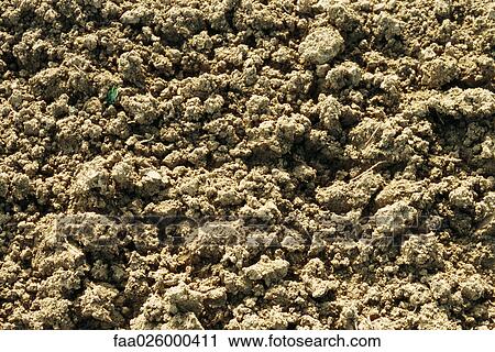 Loose soil, close-up, full frame View Large Photo Image Stock Image - Loose soil, close-up, full frame. Fotosearch