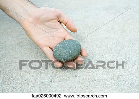 Man holding pebble in hand, cropped view View Large Photo Image Stock Image - Man holding pebble in hand, cropped view. Fotosearch