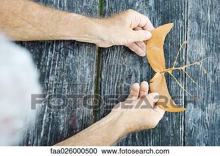 Man holding torn leaf, cropped, viewed from directly above View Large Photo Image Stock Image - Man holding torn leaf, cropped, viewed from directly above. Fotosearch