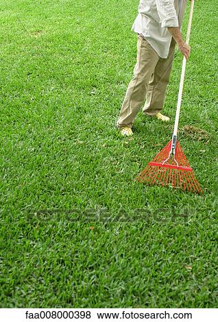 Man raking yard, low section View Large Photo Image Stock Photo - Man raking yard, low section. Fotosearch