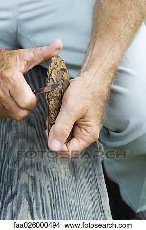 Man whittling piece of bark, cropped view View Large Photo Image Picture - Man whittling piece of bark, cropped view. Fotosearch
