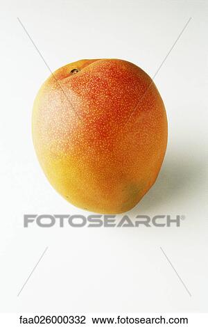 Mango, close-up View Large Photo Image Stock Image - Mango, close-up. Fotosearch