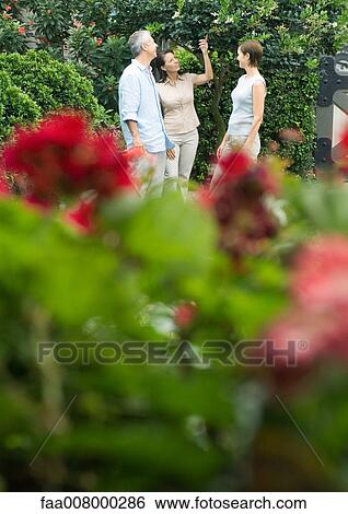 Mature adults talking in yard View Large Photo Image Stock Photograph - Mature adults talking in yard. Fotosearch