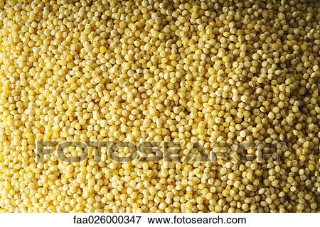 Millet seeds, extreme close-up, full frame View Large Photo Image Stock Photo - Millet seeds, extreme close-up, full frame. Fotosearch
