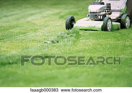 Mowing grass View Large Photo Image Stock Image - Mowing grass. Fotosearch