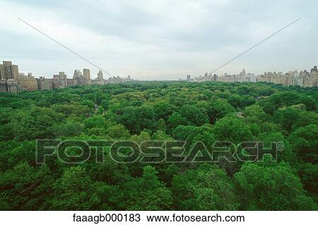 New York, Manhattan, Central Park, treetop view View Large Photo Image Stock Image - New York, Manhattan, Central Park, treetop view. Fotosearch