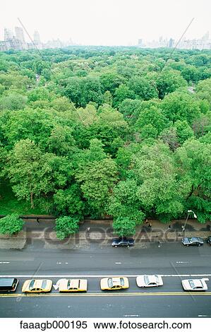 New York, Manhattan, taxis parked next to Central Park, high angle view View Large Photo Image Stock Photography - New York, Manhattan, taxis parked next to Central Park, high angle view. Fotosearch