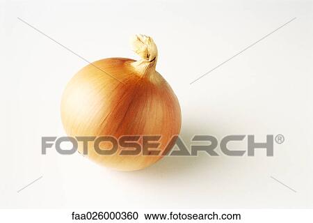 Onion, close-up View Large Photo Image Stock Image - Onion, close-up. Fotosearch
