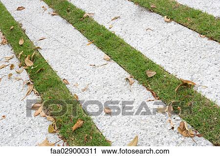 Stock Image - Paving stones and grass, close-up. Fotosearch