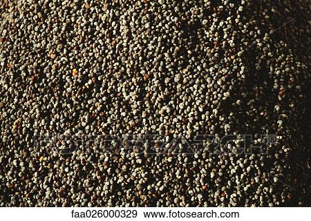 Peppercorns, close-up, full frame View Large Photo Image Stock Photo - Peppercorns, close-up, full frame. Fotosearch
