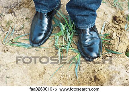 Stock Photography - Person wearing black dress shoes standing on top of grass, cropped view. Fotosearch