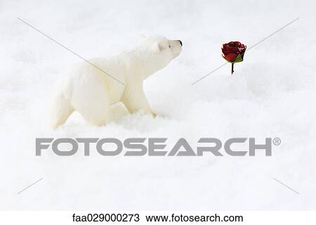 Polar bear toy approaching rose in snow View Large Photo Image Stock Image - Polar bear toy approaching rose in snow. Fotosearch