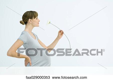 Pregnant woman smelling flower, smiling, side view View Large Photo Image Stock Image - Pregnant woman smelling flower, smiling, side view. Fotosearch