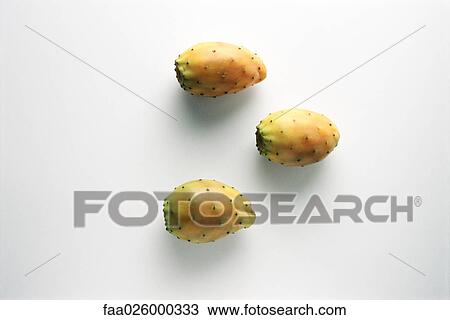 Prickly pears fruit, white background View Large Photo Image Stock Image - Prickly pears fruit, white background. Fotosearch