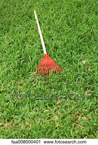 Rake lying on grass View Large Photo Image Stock Image - Rake lying on grass. Fotosearch
