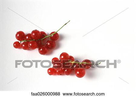 Red currants, close-up View Large Photo Image Stock Photo - Red currants, close-up. Fotosearch