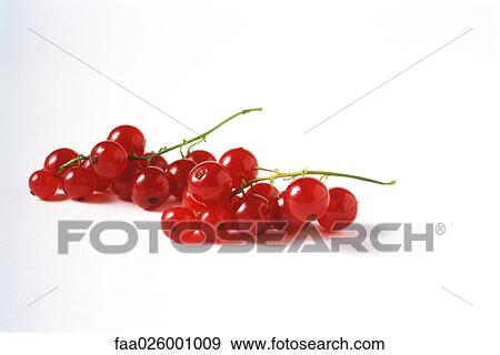 Stock Photo - Red currants, close-up. Fotosearch