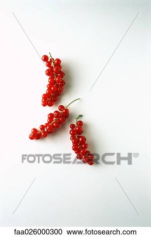 Red currants on white background View Large Photo Image Stock Image - Red currants on white background. Fotosearch
