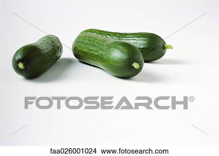 Ripe cucumbers, close-up View Large Photo Image Picture - Ripe cucumbers, close-up. Fotosearch