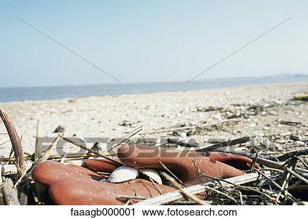 Stock Image - Rubber glove on beach. Fotosearch