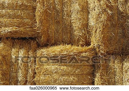 Stacked hay bales, close-up, full frame View Large Photo Image Stock Photography - Stacked hay bales, close-up, full frame. Fotosearch