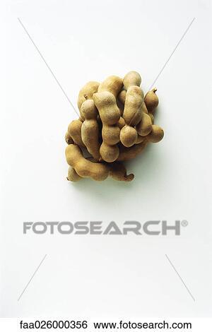 Tamarinds in a pile, high angle view View Large Photo Image Stock Photograph - Tamarinds in a pile, high angle view. Fotosearch