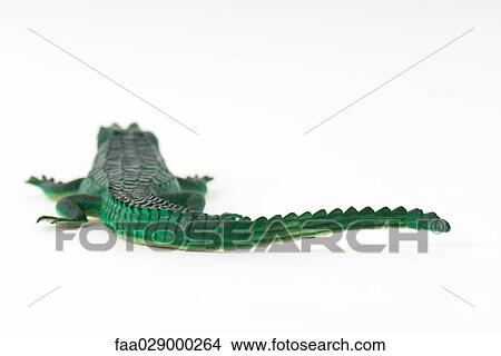 Toy alligator View Large Photo Image Picture - Toy alligator. Fotosearch